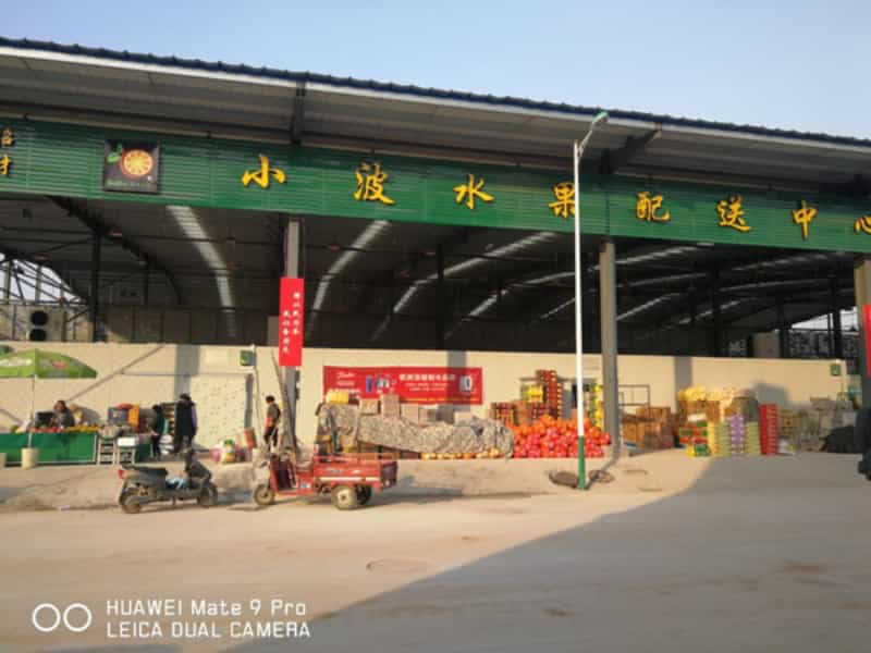 武陟精品（pǐn）水果、香蕉庫